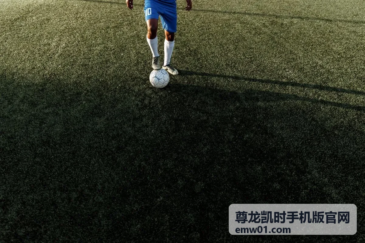 尊龙凯时手机版官网客户端功能说明配图